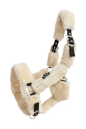 Licol ajustable doublé eco mouton Terris natural Equiline Meilleur Prix