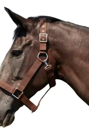 Licol cheval de trait Norton brun Marque