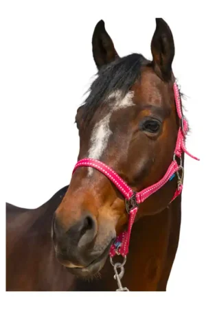 Affaire À Saisir Licol Grooming Norton vieux rose