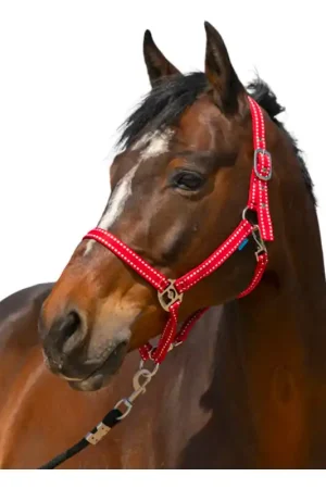 Licol Grooming Norton rouge Promotion Saisonnière