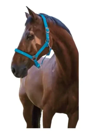 Commande En Gros Licol Fluo Norton bleu