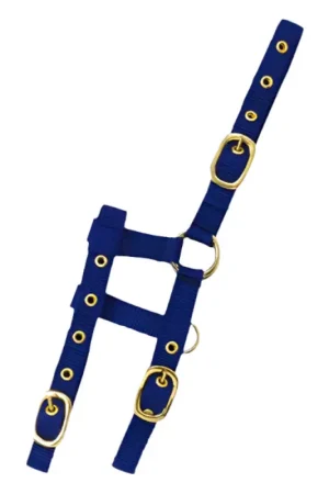 Prix Réduit Licol réglable Mini Norton bleu roi