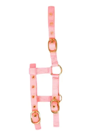 Satisfait Ou Remboursé Licol réglable Mini Norton rose