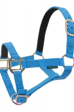 Achat Immédiat Licol nylon doublé cuir Norton bleu ciel