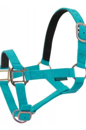 Vente Directe Licol nylon doublé cuir Norton turquoise