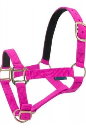 Prix Réduit Licol nylon doublé cuir Norton fuchsia