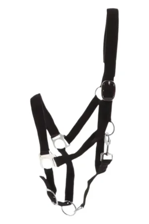Licol doublé néoprène Norton noir Acheter En Ligne