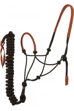 Offre Limitée Licol éthologique + longe Suède Norton marron / marron clair