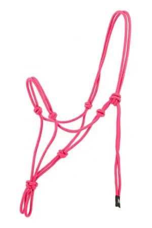 Licol éthologique Nylon Norton vieux rose Offre Du Jour