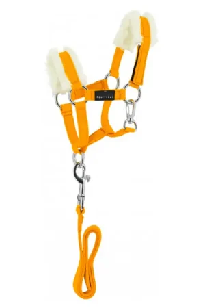 Mini-licol + longe Pony Academy Equithème jaune Vente Directe