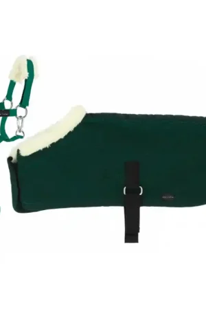 Set Mini licol + couverture Pony Academy Equithème vert foncé Achetez Aujourd'hui