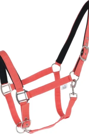Halfter -Charming- weich unterlegt HKM Nouvel Arrivage
