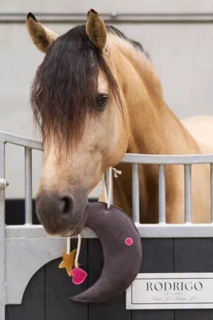 Meilleur Prix Buddy Moony hengstenspeeltje