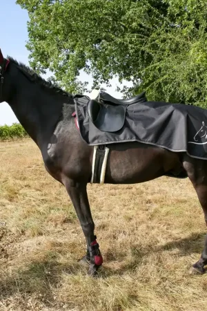 Haute Qualité DMH Couvre-reins imperméable avec découpe de selle