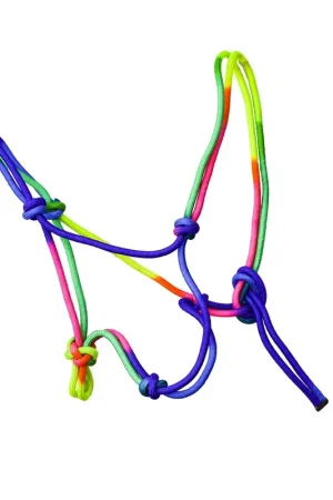 Licol éthologique rainbow EE Bon Plan