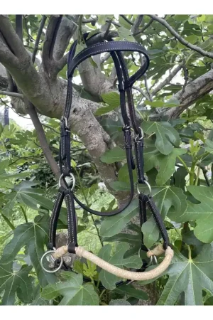 Deluxe Latigo Leather Side Pull rawhide Valley Miles avec rênes Achat Immédiat