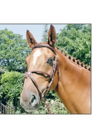Bridon Poney cuir muserolle croisée Henri de Rivel Promotion Saisonnière