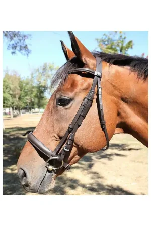 Bridon muserolle française bombée DMH Equitation Meilleur Choix