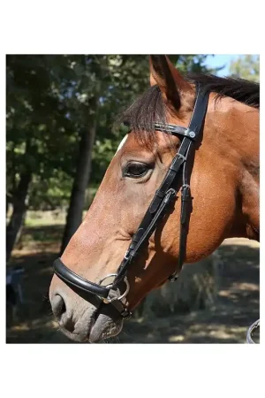 Bridon muserolle allemande DMH Equitation Livraison Express