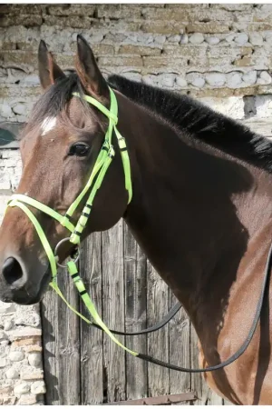 Populaire Bridon synthétique couleur Best-Rider