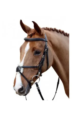 Commander Maintenant Bridon renforcé mexican Style avec mouton HKM