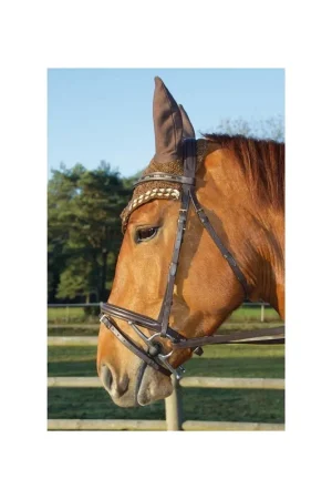 Bridon Botticelli TDET Top Vente