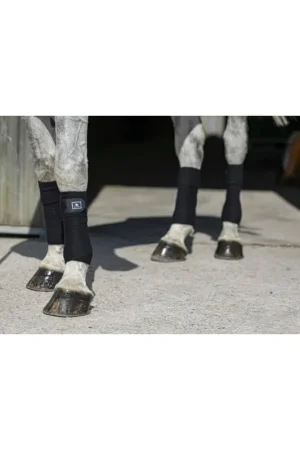 Meilleure Vente Bandes de polo Riding World Eco