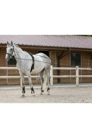Commande En Gros Longues rênes Riding World cuir/corde