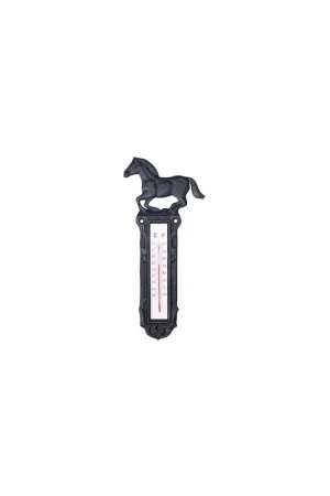 Meilleur Choix Thermomètre en fer forgé HKM