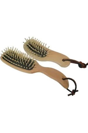 Authentique Brosse à crins ergo Borstiq