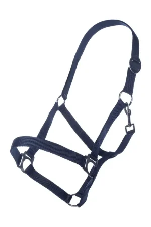 Licol Classic cheval HKM Prix Bas