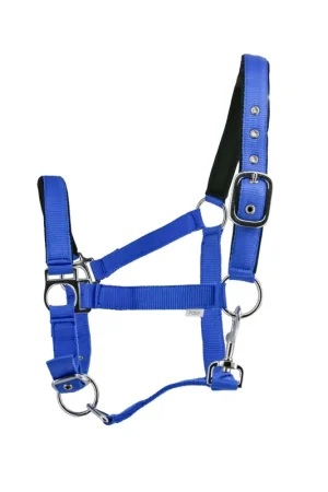 Licol nylon couleurs intenses protection suédine Offre Limitée