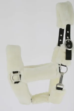 Licol full mouton Acheter En Ligne