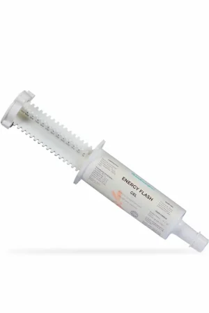 Nutragile Energy Flash - Booster Seringue 60 ml Haute Qualité