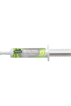 Becool Flash Ravene Vente Flash