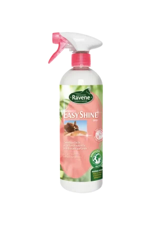 Prix Réduit Lustrant Easy Shine de Ravene