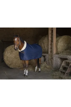 Couverture d'écurie Equithème Teddy doublée mouton synthétique 0g Meilleur Prix