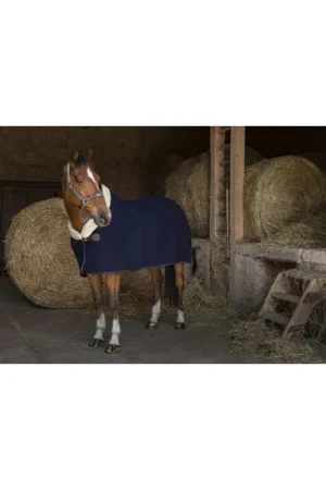 Remise Couverture laine Equithème Teddy