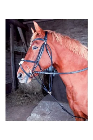 Prix Réduit Gogue classique TdeT