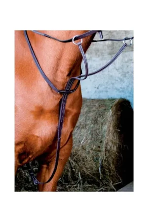 Satisfait Ou Remboursé Martingale TdeT