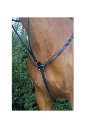 Collier chasse doublé surpiqures TdeT Quantité Limitée