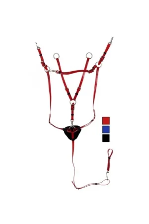 Soldes Collier de chasse + martingale Tattini Daslo