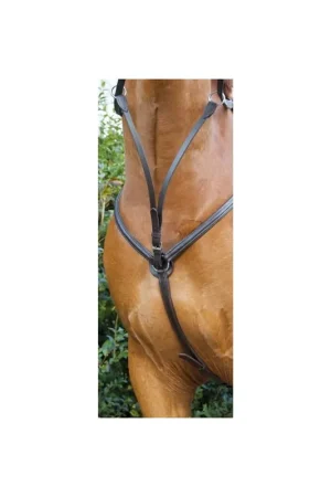 Commander Maintenant Collier de chasse doublé TdeT
