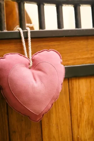 Jouet pour cheval en box IRHStable buddy Heart Haute Qualité