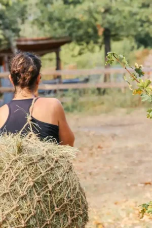 Filet à foin corde naturelle anti ingestion de plastique Commande En Gros