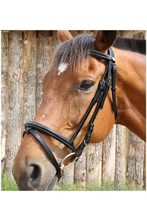 Livraison Express Bridon London fancy DMH Equitation Majestic