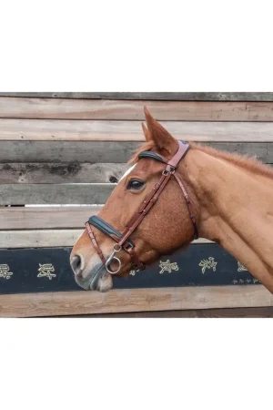 Bridon Lautrec soft TdeT Prix Bas