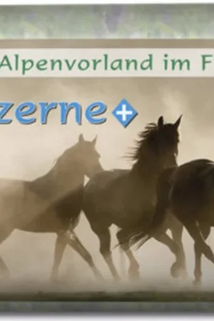 Agrobs Luzerne +, 15 kg Meilleur Prix
