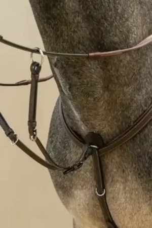 Petit Prix Dy'on Working by Dyon - Fourche de Martingale, Pur Sang, Marron