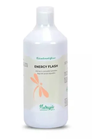 Energy Flash Endurance & Vitalité Cheval Effort Intense | Nutragile Seulement Aujourd'hui